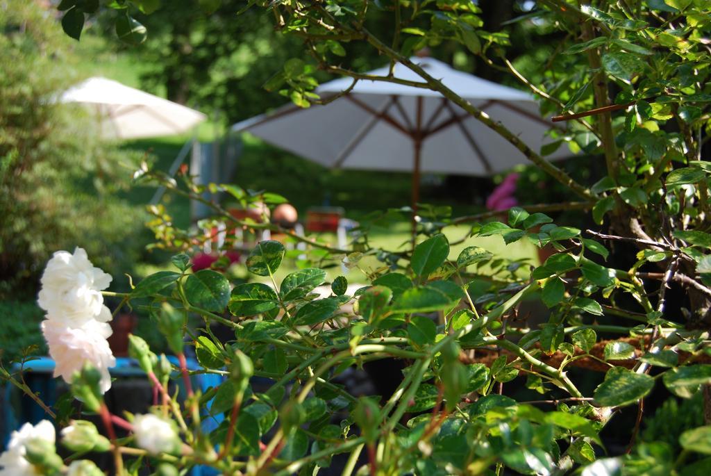 Oberriet B＆B　ハウス　ツール　クローン Bed & Breakfast エクステリア 写真